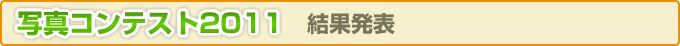 ʐ^ReXg2011@ʔ\